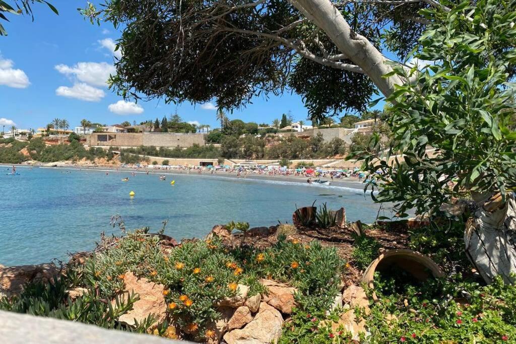 Luxury Penthouse Oasis Beach VIII Orihuela Costa Punta Prima 托雷维耶哈 外观 照片